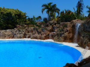 pool 40 300x225 - pool-40