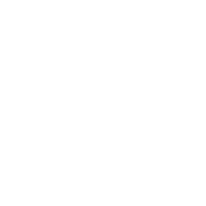 vaio 300x300 - vaio