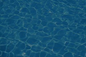 pool back2 300x200 - pool-back2