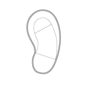 kidney 300x300 - kidney