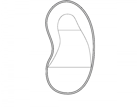 kidney crescent 450x350 - Traditional Pools