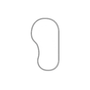 kidney straight back 300x300 - kidney_straight_back
