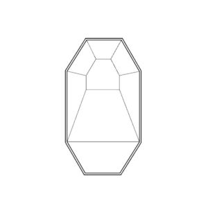 octagonal 300x300 - octagonal